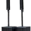 Professional 200W Speaker with Dual Wireless Microphones