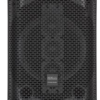 Speaker with Battery and Dual Wireless Microphones
